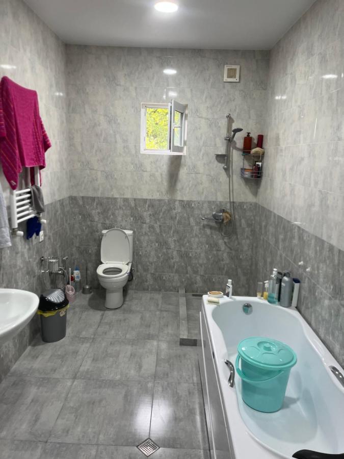 Cozy Space In Тбилиси Экстерьер фото